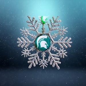 Michigan State SPARTANS Snowflake Christmas Ornament *NEW*